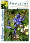 Front cover of the May edition showing bluebells
